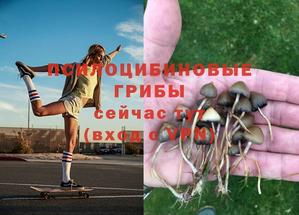 дистиллят марихуана Верея