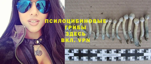 прущие крисы Семикаракорск