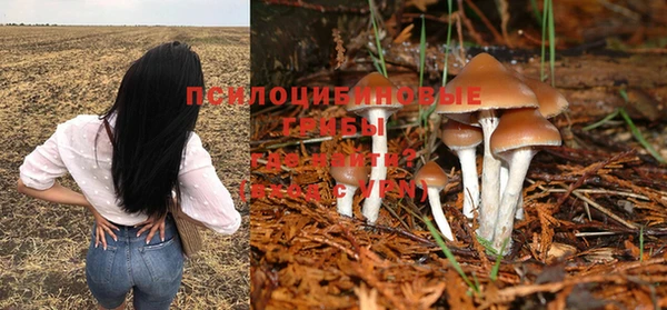 2c-b Верхний Тагил